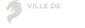 Logo_Ville de Metz